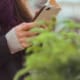 A person is viewing a website on a smartphone