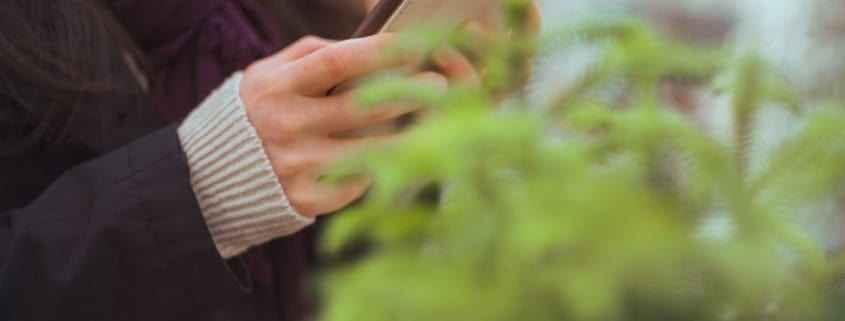 A person is viewing a website on a smartphone